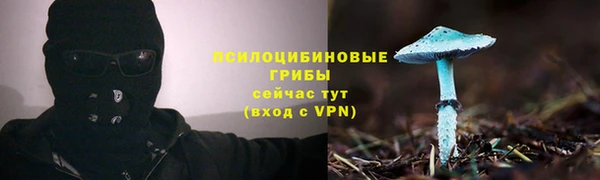 гашик Баксан