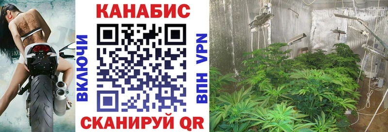 mega онион  хочу   Афипский  Бошки Шишки сатива 